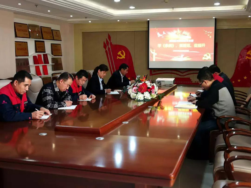 學(xué)《條例》 抓規(guī)范 促提升 長(zhǎng)田實(shí)業(yè)黨支部開展1月份主題黨日活動(dòng)